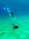I SAW A MERMAID