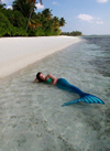 LITTLE MERMAID DREAM