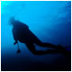 Diving