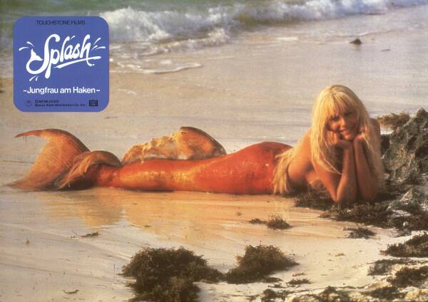 Splash